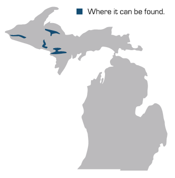 Map_taconite